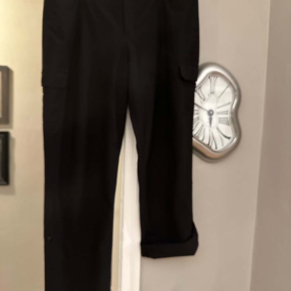 Eddie Bauer Black Camping/Hiking Convertible pants.